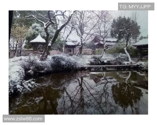 足球明星耶莱娜的爱情故事与生活揭秘追寻她背后的光辉与支持