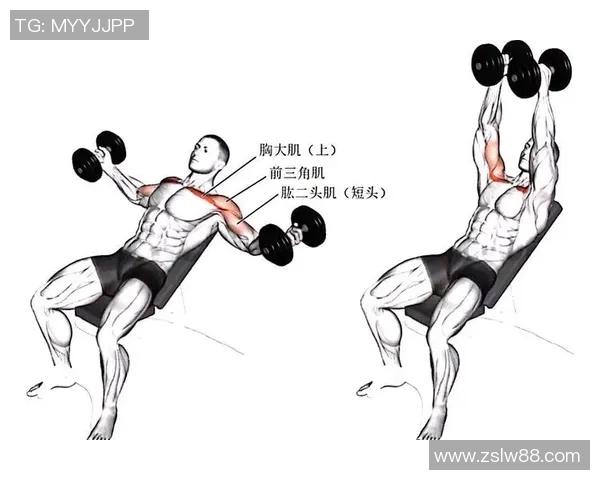 哑铃反飞鸟训练技巧与注意事项助你塑造完美肩部线条