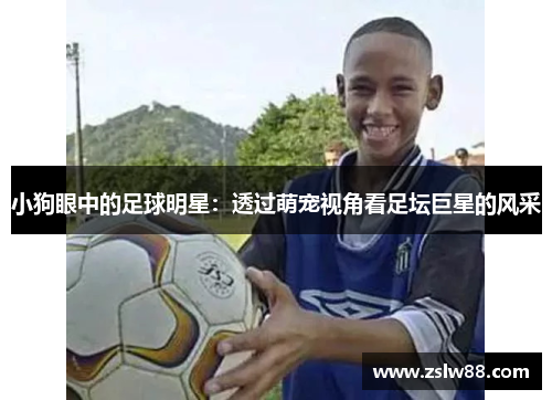 小狗眼中的足球明星：透过萌宠视角看足坛巨星的风采
