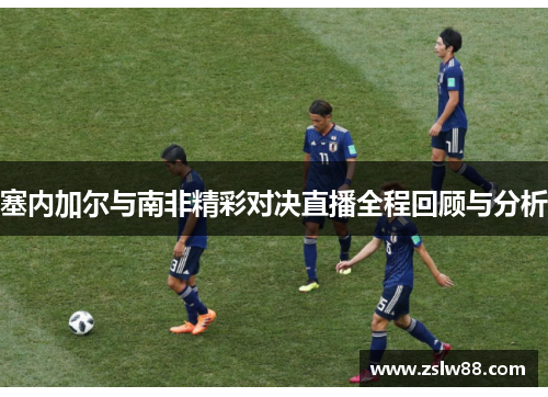 塞内加尔与南非精彩对决直播全程回顾与分析